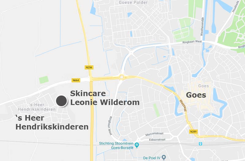 kaartje Google Maps